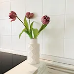 Sealine Apartmán Podstrana