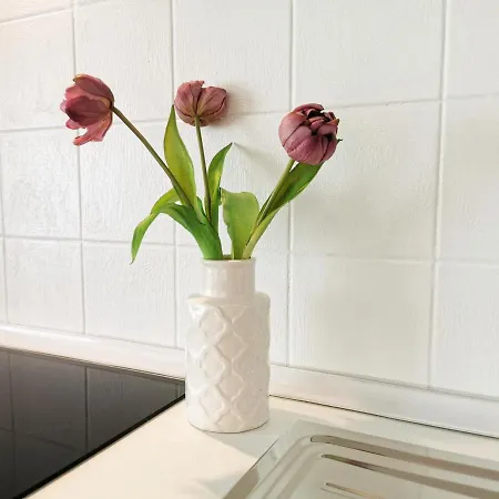 Sealine Apartman Podstrana