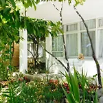 Sealine * بودْسْتغانا