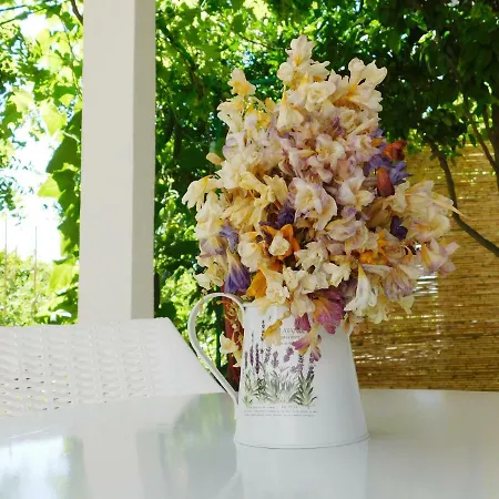 Apartament Sealine Podstrana